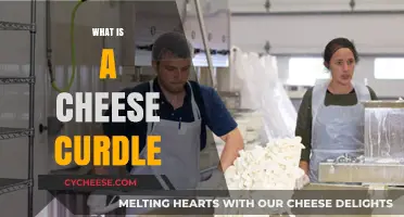 Understanding Cheese Curdling: Causes, Process, and How to Prevent It