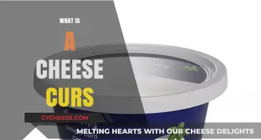 Understanding the Cheese Curd: A Tasty, Squeaky Dairy Delight Explained