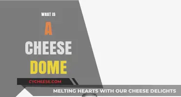 What is a Cheese Dome? A Guide to Preserving Cheese Freshness
