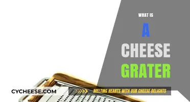 Discover the Essential Kitchen Tool: What is a Cheese Grater?