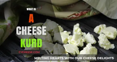 Exploring Cheese Curds: Origins, Texture, and Culinary Uses