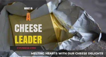 Understanding the Role of a Cheese Leader in the Dairy Industry