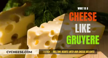 The Unique, Savory Taste of Gruyere Cheese