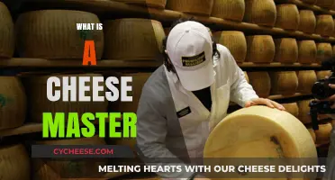 Unveiling the Art of Cheese Mastery: A Culinary Expert's Journey