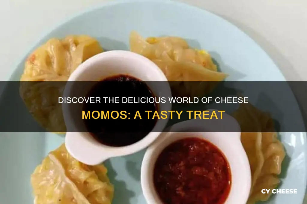 what is a cheese momo