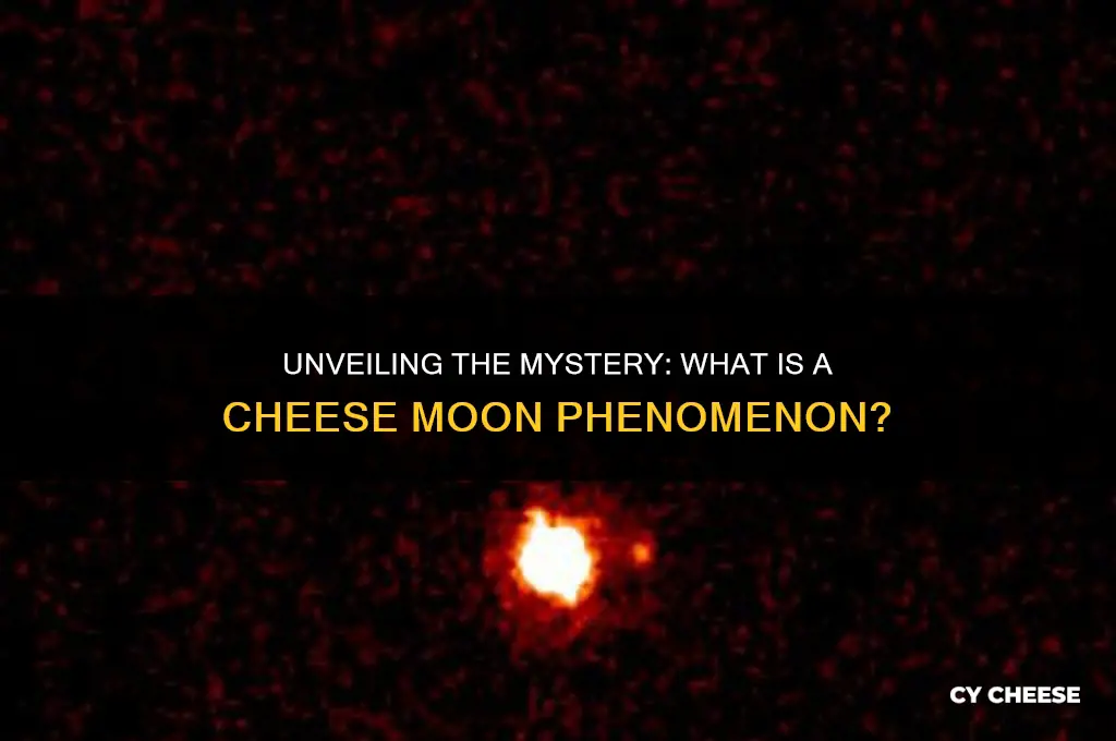 what is a cheese moon