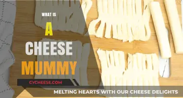 Unraveling the Mystery: What is a Cheese Mummy?