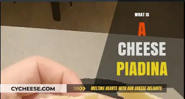 Discover the Delicious Italian Cheese Piadina: A Tasty Flatbread Treat