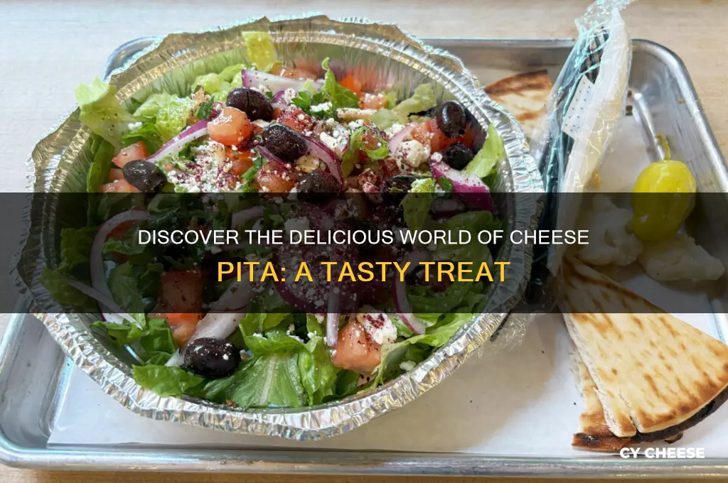 what is a cheese pita