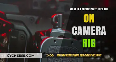Cheese Plates: Supporting Camera Rigs, Explained