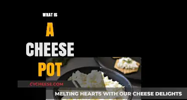 Discover the Delightful World of Cheese Pots: A Tasty Guide