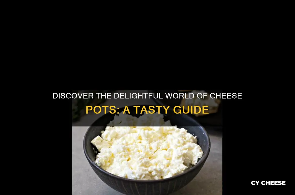 what is a cheese pot