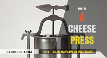 Discover the Art of Cheese Making: What is a Cheese Press?