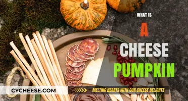 Discover the Cheese Pumpkin: A Unique Squash Variety Explained