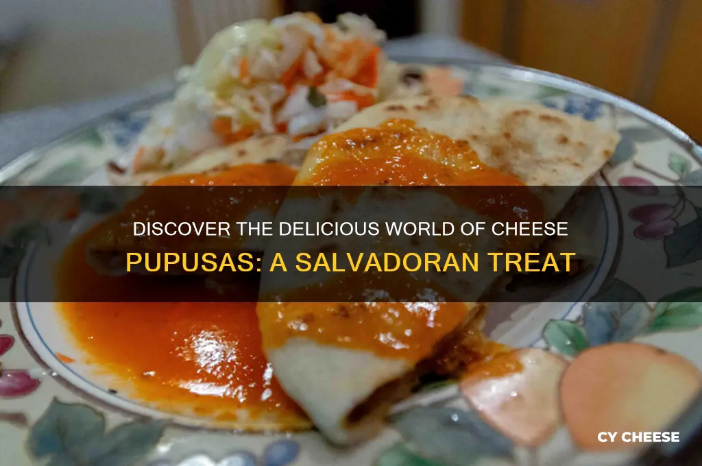 what is a cheese pupusa