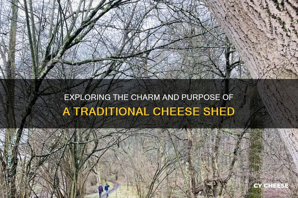 what is a cheese shed