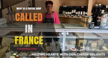 Discovering France's Cheese Shops: Fromagerie or Crèmerie?
