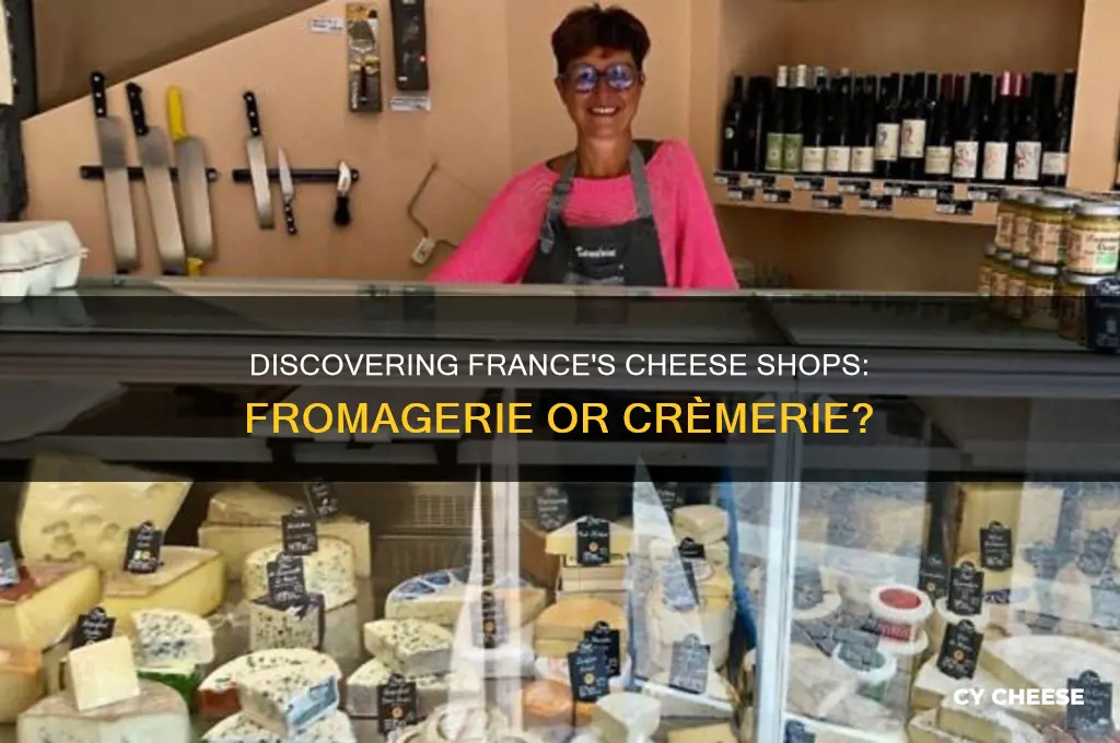 what is a cheese shop called in france