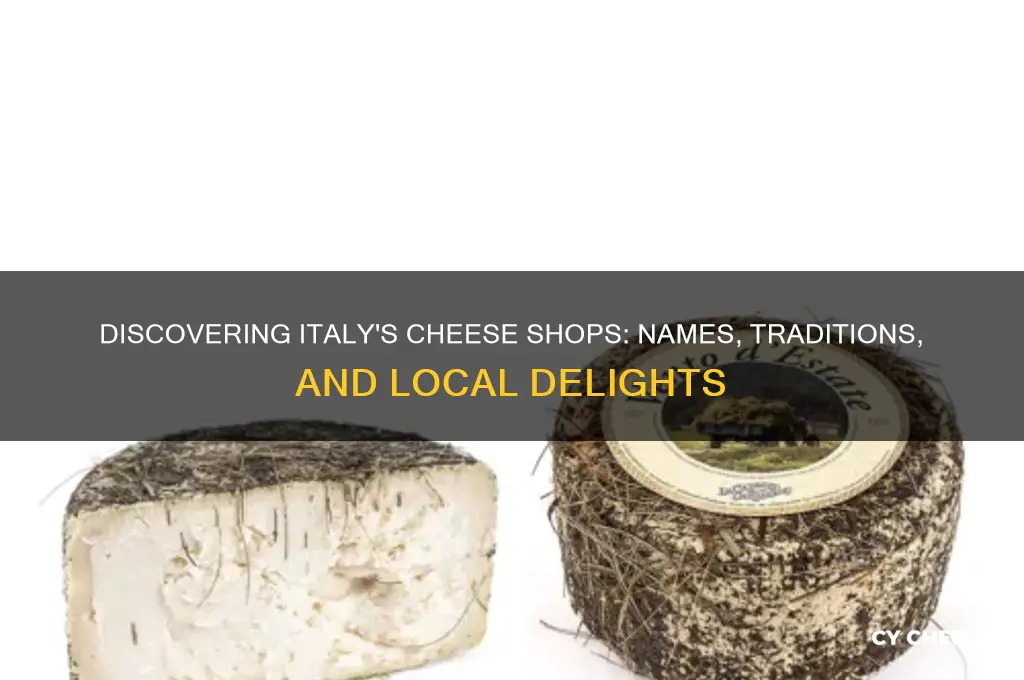 what is a cheese shop called in italy
