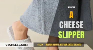 What is a Cheese Slipper? Uncovering the Cozy, Cheesy Trend