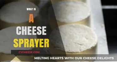 Discover the Magic of Cheese Sprayers: A Culinary Game-Changer