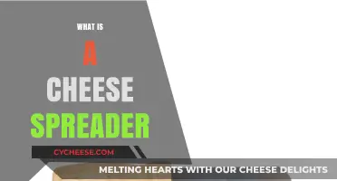 What is a Cheese Spreader? A Guide to This Handy Kitchen Tool
