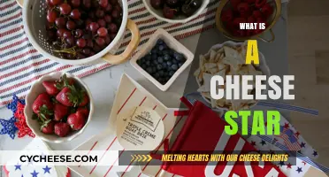 Unveiling the Cheese Star: A Unique Culinary Delight Explained
