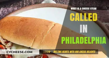 Philly's Iconic Cheese Steak: The Authentic Name and Tradition