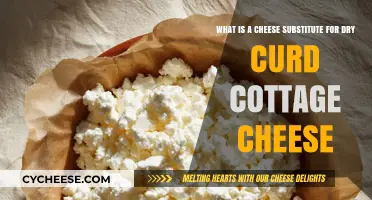 Discover the Best Cheese Substitute for Dry Curd Cottage Cheese