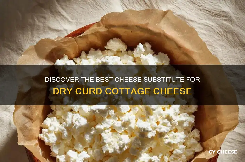 what is a cheese substitute for dry curd cottage cheese