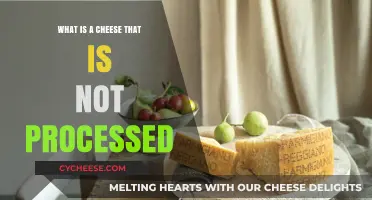 Discovering Natural, Unprocessed Cheese Varieties: A Tasty Guide