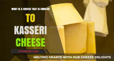 Discover Kasseri Cheese Alternatives: Similar Flavors and Textures to Try
