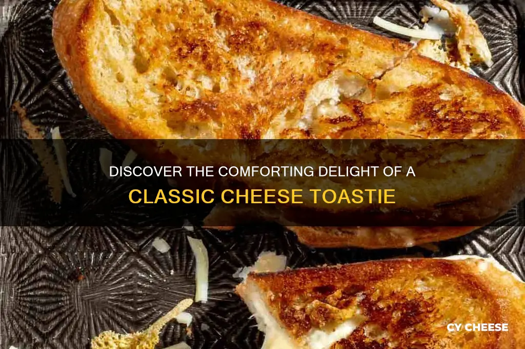 what is a cheese toastie