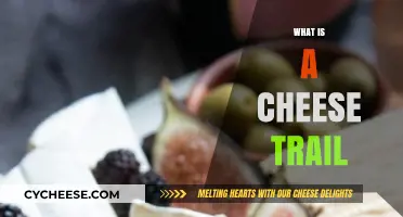 Exploring the Delicious World of Cheese Trails: A Tasty Adventure