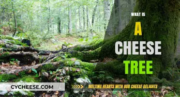 Discover the Mythical Cheese Tree: Fact or Fiction Explained
