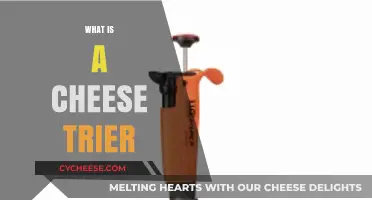 Discover the Cheese Trier: A Unique Tool for Cheese Lovers