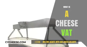 Understanding Cheese Vats: Essential Equipment for Artisan Cheese Making