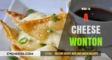 Discover the Crispy Delight: What is a Cheese Wonton?
