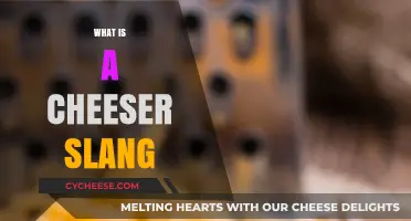 Unpacking the Cheeser Slang: Origins, Meanings, and Modern Usage