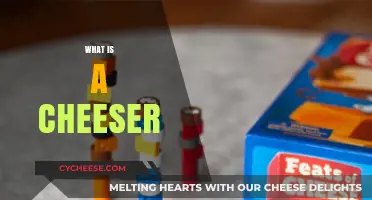 Understanding the Cheeser: A Deep Dive into the Gaming Phenomenon