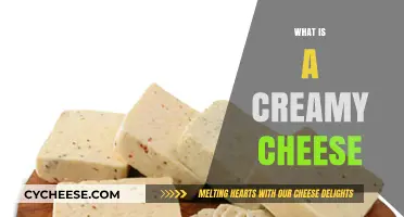 Exploring Creamy Cheese: Types, Uses, and Delicious Recipes to Try