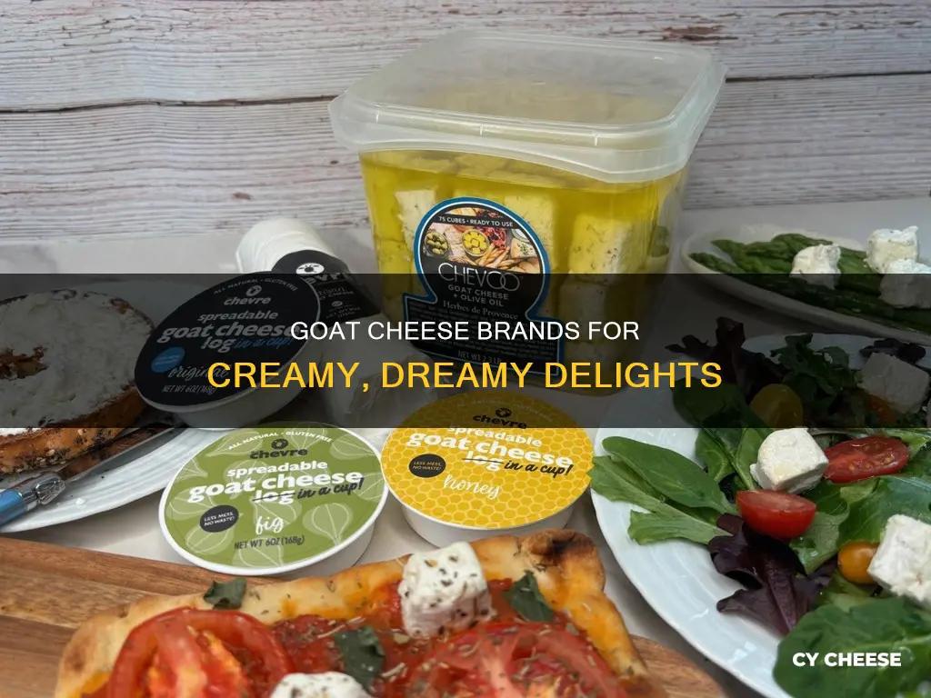 what is a creamy goat cheese brand