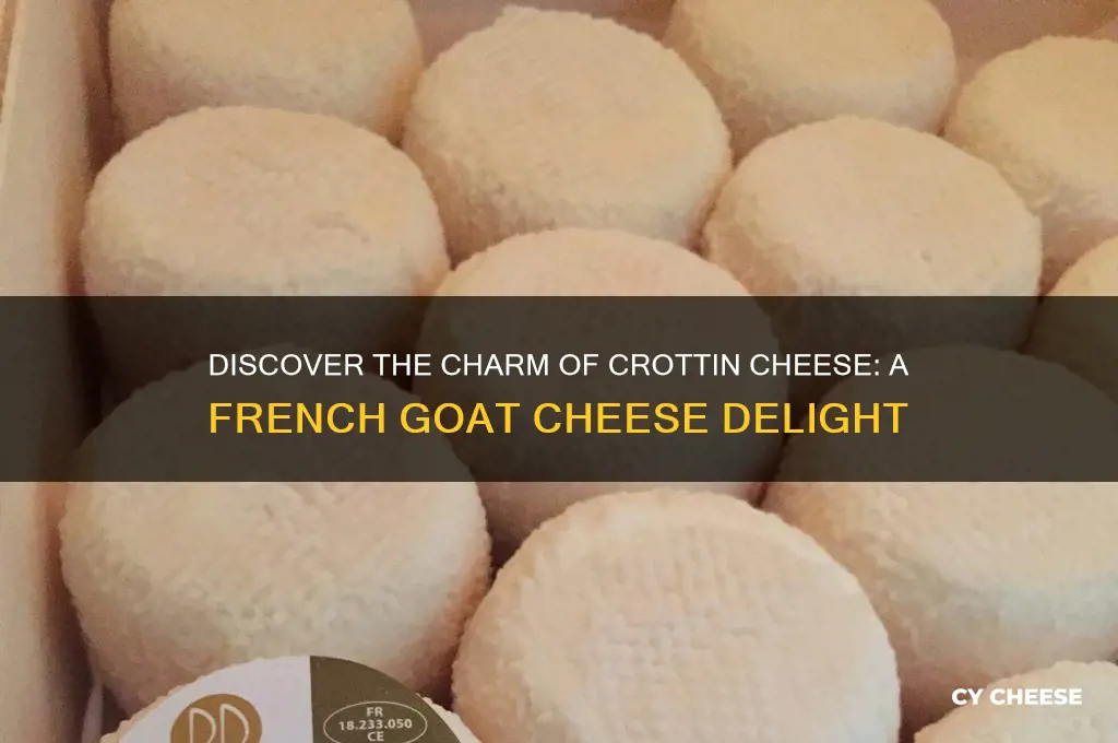 what is a crottin cheese