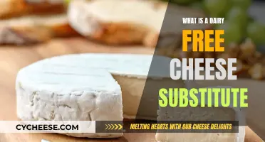 Explore Dairy-Free Cheese Alternatives