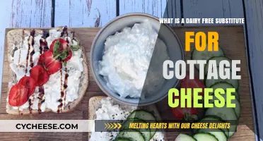 Creamy Dairy-Free Cottage Cheese Alternatives for Plant-Based Diets