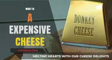 Exploring the World's Priciest Cheeses: A Guide to Expensive Cheese