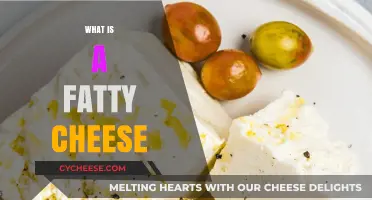 Understanding Fatty Cheese: Types, Benefits, and Culinary Uses Explained