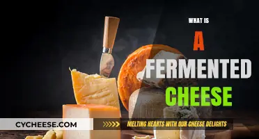 Exploring Fermented Cheese: Types, Benefits, and Flavor Profiles