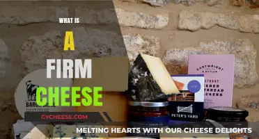 Exploring Firm Cheese: Types, Uses, and Perfect Pairings