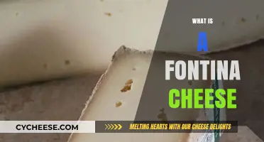 Discover Fontina Cheese: Origins, Flavor Profile, and Culinary Uses
